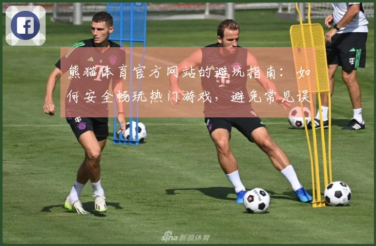 熊猫体育官方网站的避坑指南：如何安全畅玩热门游戏，避免常见误区